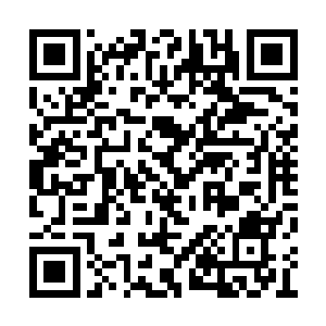 以惊人的速度载着他和楚暮离开小世界所在之处二维码生成