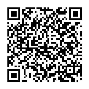 以意念控制还真塔重新变成手指头大小的一座玲珑小塔融入掌中消失不见二维码生成