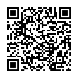 以拔苗助长之法强行培养出大量界主强者的三大家族之中二维码生成
