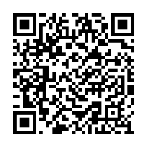 以无比惊人的速度成长为一名合格的舰队指挥官二维码生成