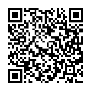 以更快的速度和更加可怕的力量朝着楚旬等人狠狠冲撞而来二维码生成