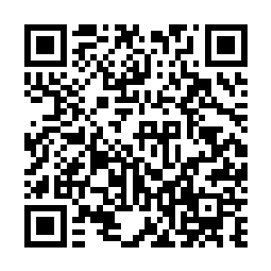 以红男爵为首的团体已经全面接管了瓦西里所留下的一切二维码生成