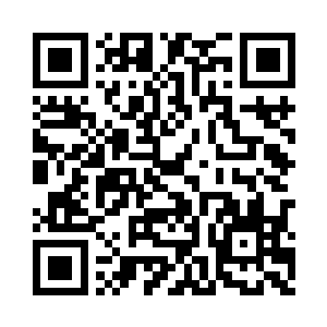 以至于他们无法彻底看清内部到底在发生什么二维码生成