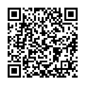以达到敲诈勒索甚至是通过你们跻身上流社会的目的二维码生成
