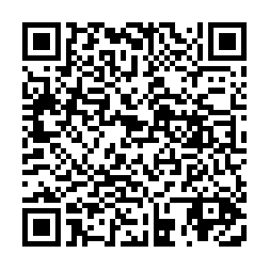 仰望了一眼前面一栋正在加班加点的轰轰烈烈地进行着加盖工程的小矮楼二维码生成