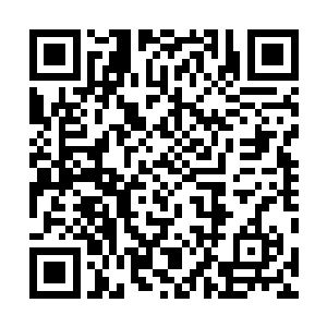 仲华这次来不是调研性质的很大一部分是私人性质的拜访二维码生成