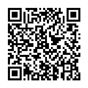 任他一个罗天上仙后期的修士也不能够轰动这个大阵分毫二维码生成