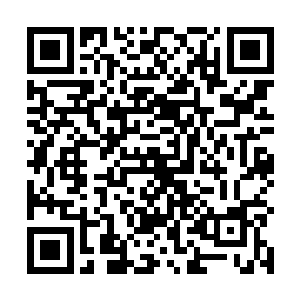 任何一个妖王的实力都不会逊于青阳神殿的殿主温紫衫二维码生成