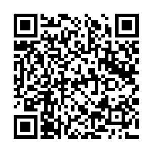 任何皇者在不动用圣气的情况下都无法将它们击败二维码生成