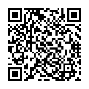 任国非当然愿意选择一个能够信任他的合作伙伴了二维码生成