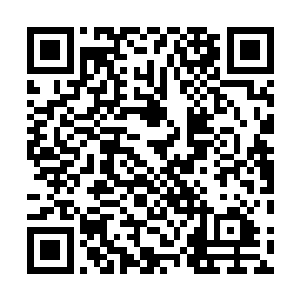 任由那无数大妖觊觎而不敢靠近的血池水冲刷过它的身体二维码生成