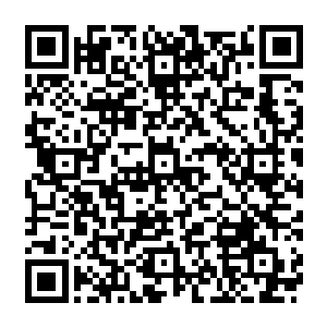 任谁都不会想像的到这一个人畜无害的小东西会是天外天令无数人闻风丧胆的雷霆至尊二维码生成
