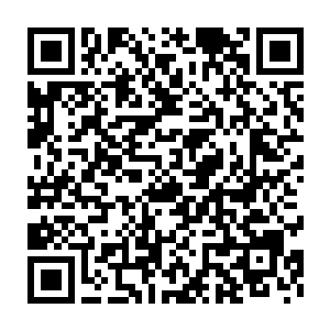 仿佛受到攻击后愤怒的灵兽一般更加凶猛地扑向了那名攻击它的武王二维码生成