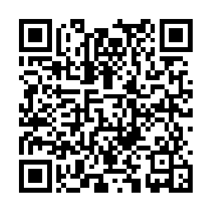 仿佛天地间的那股威压是不容挑衅不容抗衡的一样二维码生成