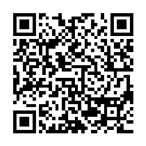 仿佛就连这万古恒存的阴界也即将引来属于自己的世界末日一般二维码生成