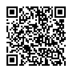 仿佛已经看到了自己在幕后操控混沌域界的样子二维码生成