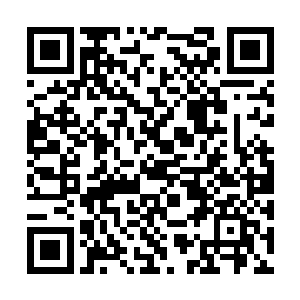 仿佛整个世界在一瞬间都被饥荒所充满了一样……二维码生成