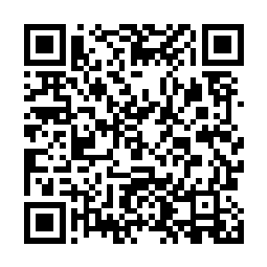 仿佛是实力极强的人在这里进行了某种可怕的战斗造成的二维码生成