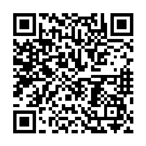 仿佛根本就没有注意到凤火舞两个人眼神之中的厌恶一般二维码生成