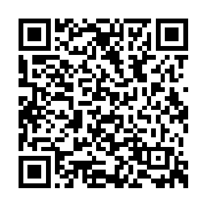 仿佛此刻已经将整个星辰大陆握在了自己的手中二维码生成
