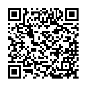 仿佛看到了什么不可思议的事情一般的瞪着老狼二维码生成