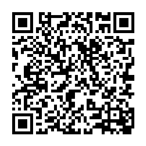 仿佛精血力量都在被一点一点抽离的剧痛也从这六臂巨魔的断臂处传来二维码生成