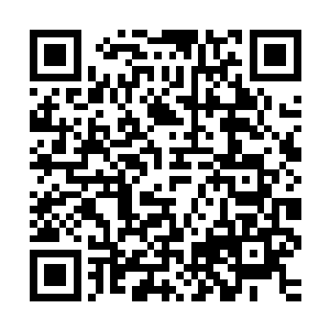 仿佛蕴含着恐怖力量的咆哮也忽然从这巨龙一族的军阵中央响起二维码生成