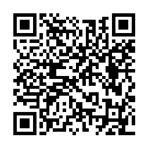 仿佛随时都可能被这股可怕的力量给彻底撕碎一般二维码生成