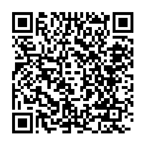 企图将这里面的稀罕物和在沧海老人那里看的珍贵典籍和记载联系起来二维码生成