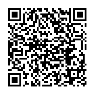企图瞒天过海……这种机甲团原本就应该是国家最顶尖的战斗兵团二维码生成