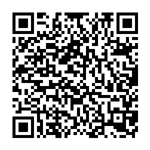 伊万·布朗可不相信王世子是因为跟他的私交才会将这个技术在游戏中公布的二维码生成