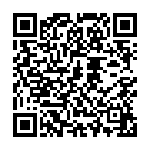 伊莎贝拉安排的人也成功地切断了地下实验基地的供电系统二维码生成