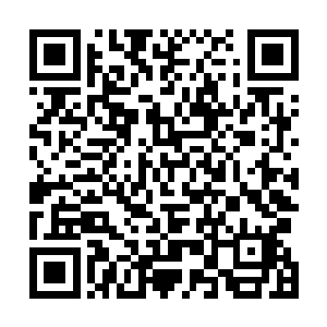 伏清威还从来没有见过自己的爷爷像今天这般暴怒和决绝二维码生成