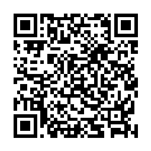 休斯敦各社团及大学代世界各个国家社团代表约300人出席二维码生成