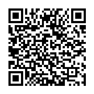 众人好不容易才在一个倒塌了的壁炉边找到了谢尔盖二维码生成
