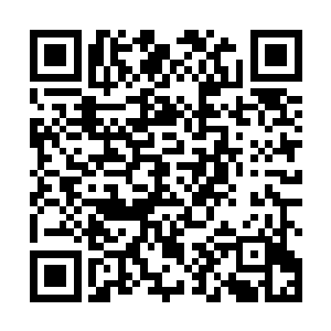 众人或许能够在死前以最为简单魂念或者话语指出瘦狗二维码生成