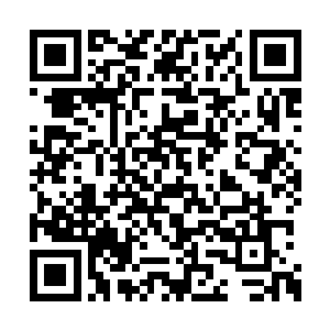 众人神识不约而同的扫过那绿洲里气息不怎么样二维码生成