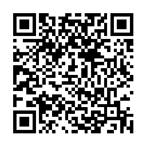 会不会发现的又是这样在他们这种世家眼中如同鸡肋的存在二维码生成