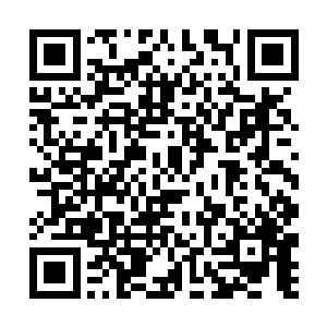 会不会老爹还想着让我们继续的主导这一次的事情呢二维码生成