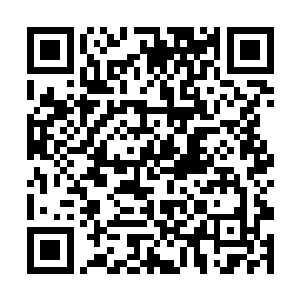 会不停的抬高柳姨娘和范子萧的身份打你和子衿的脸二维码生成