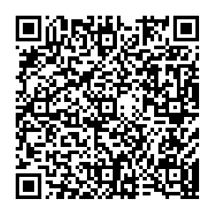 会场内有很多个比武台 但是只有一个比武台有人 其他的比武台上的人 都自觉的停止了战斗 下一章节已更新二维码生成