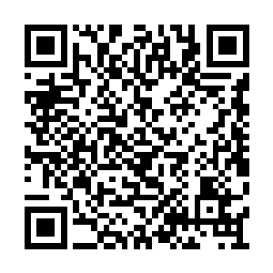 会致力于推动中法友谊的发展与民间文化的交流二维码生成