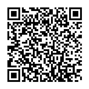 会长就算是再傻也知道了白芷璃现在将这个消息告诉自己的意思了二维码生成