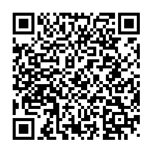 传说这个预科班的官二代从去年军训就疯狂追求一个传媒学院的女生二维码生成