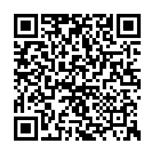 传说鬼童是修炼修罗的人才能够炼制的特殊鬼仆二维码生成