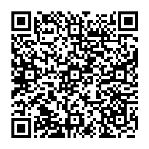 传闻已有七阶顶峰修为的杨晨会在暴怒之下攻击留在金州市的原灵武期刊编审人员二维码生成