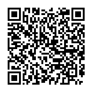 传闻据说是属狗的和稀罕狗的没伤害过狗的人过恶狗岭才会如履平地二维码生成