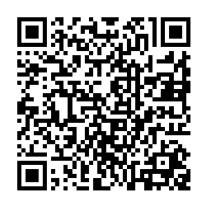 传音也飞快的落到同样被蓝星号的特别外表和特制结构吸引的母女仨识海中二维码生成