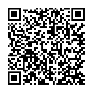 估摸着那个掌印和脚印就是眼前的这个一脸笑模样的女子给留下的二维码生成