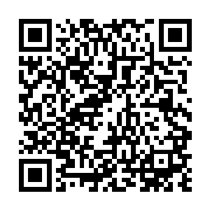 估算亡灵法师战力前是必然要加上他手下的亡灵战士的二维码生成